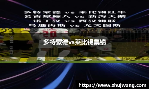 多特蒙德vs莱比锡集锦