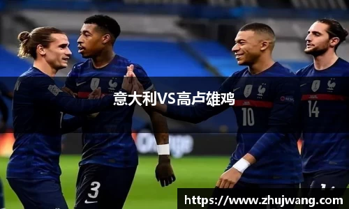 意大利VS高卢雄鸡