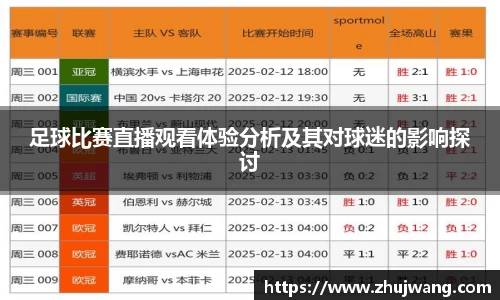 足球比赛直播观看体验分析及其对球迷的影响探讨