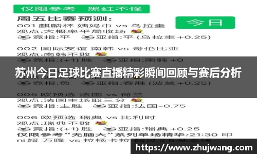 苏州今日足球比赛直播精彩瞬间回顾与赛后分析